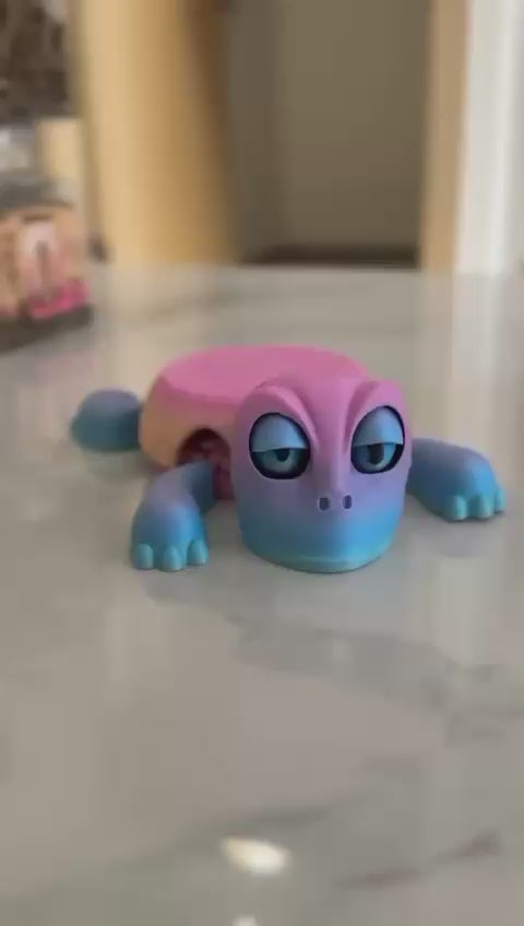 Funny Turtle Coaster